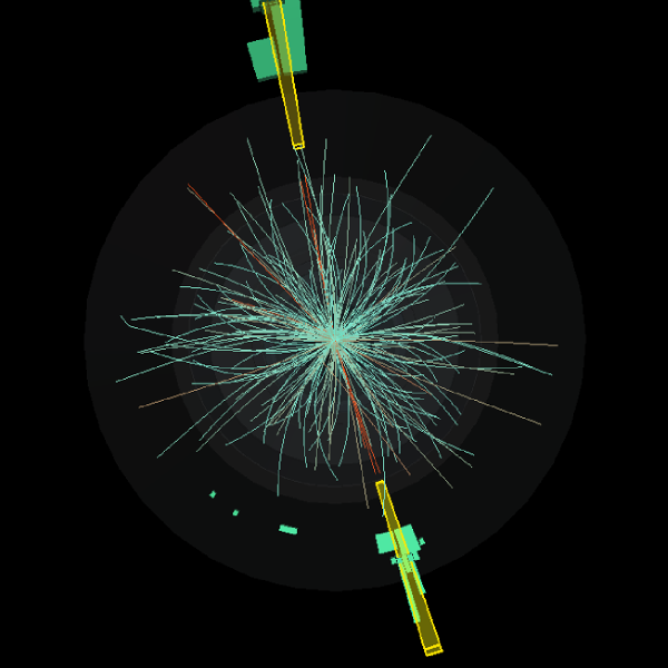Higgs diphoton decay event display